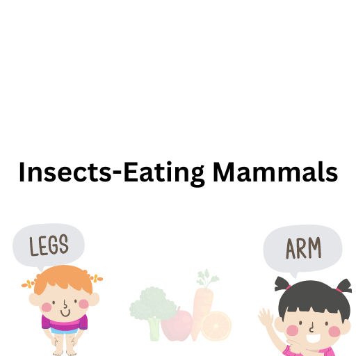 Insects-Eating Mammals